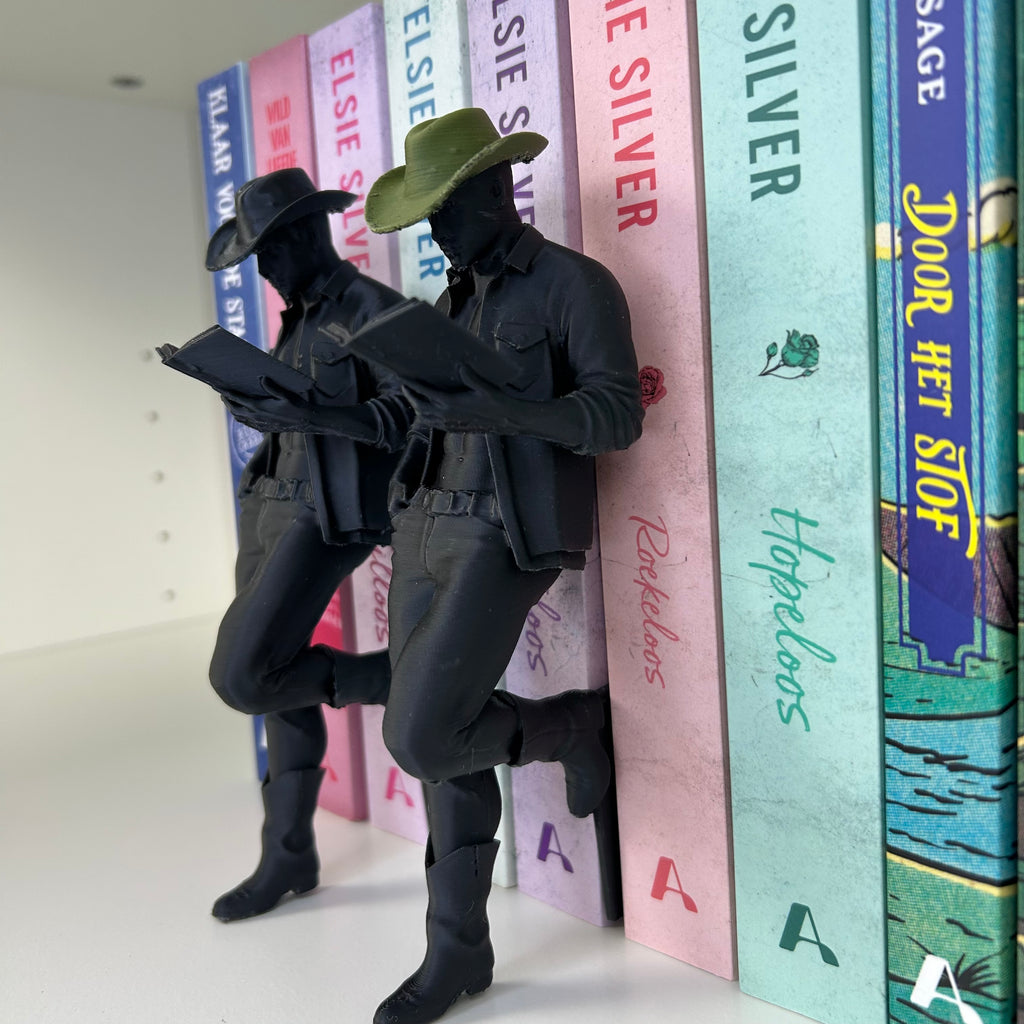 Hot cowboy reader bookshelf decor