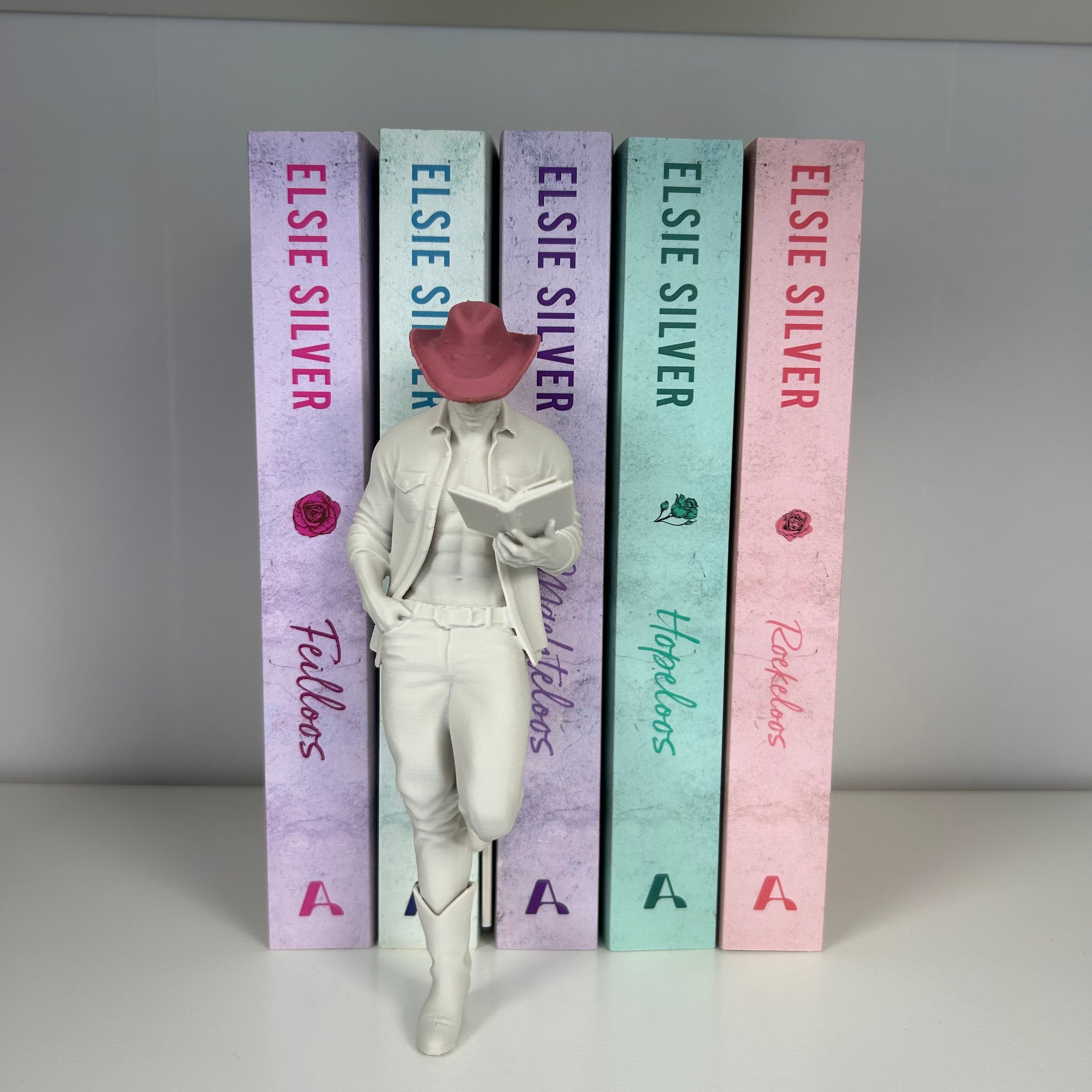 Hot cowboy reader bookshelf decor