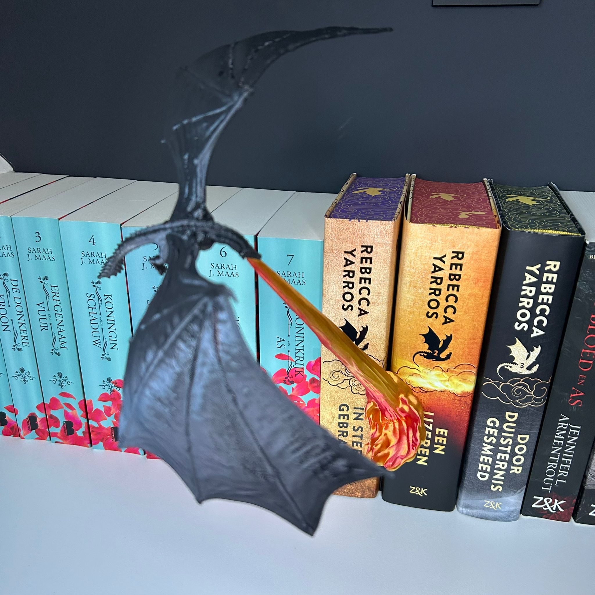 Flying Dragon booknook