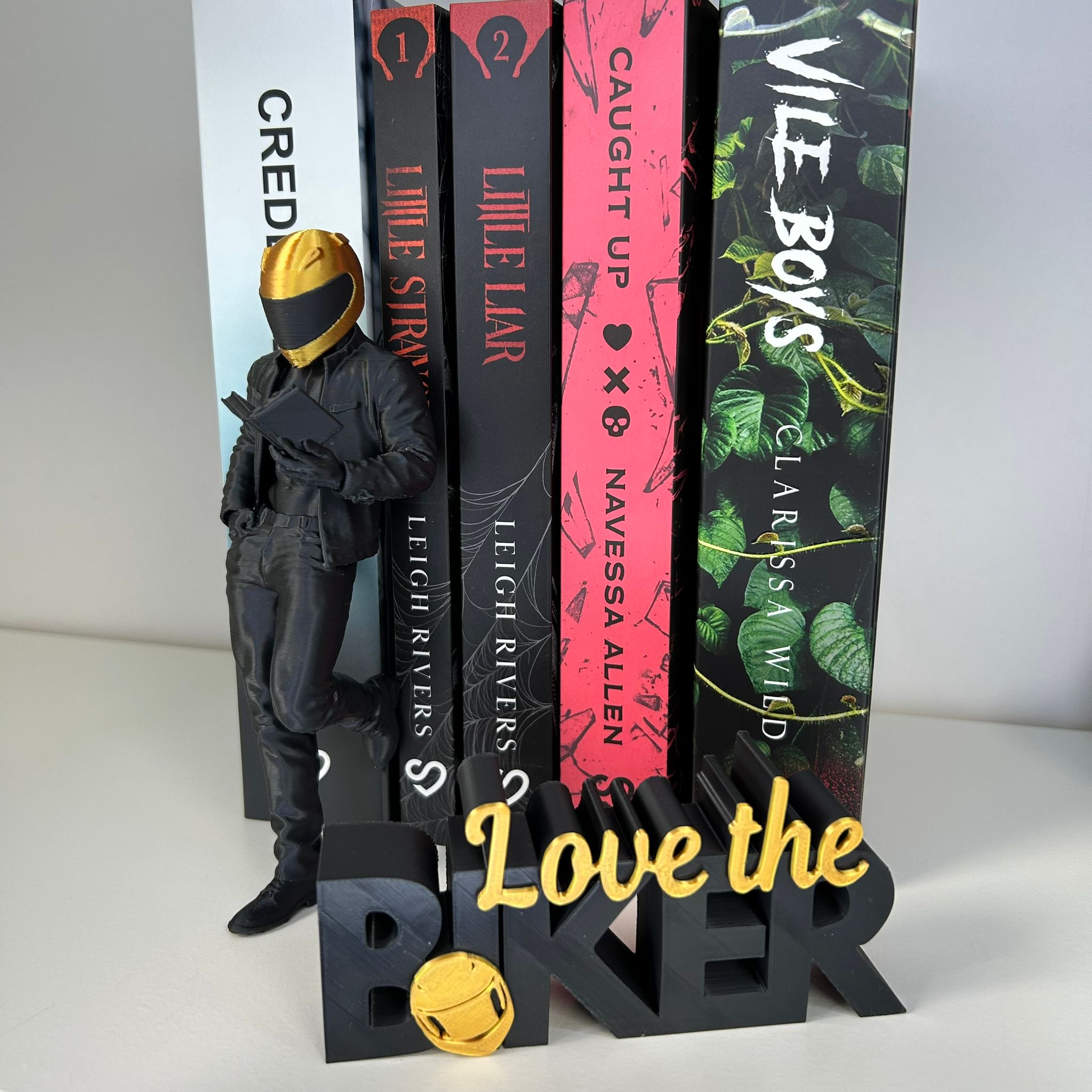 Biker Reader Bookshelf Decor – Dark Romance Biker Bookish Decor – Biker Romance Word Art