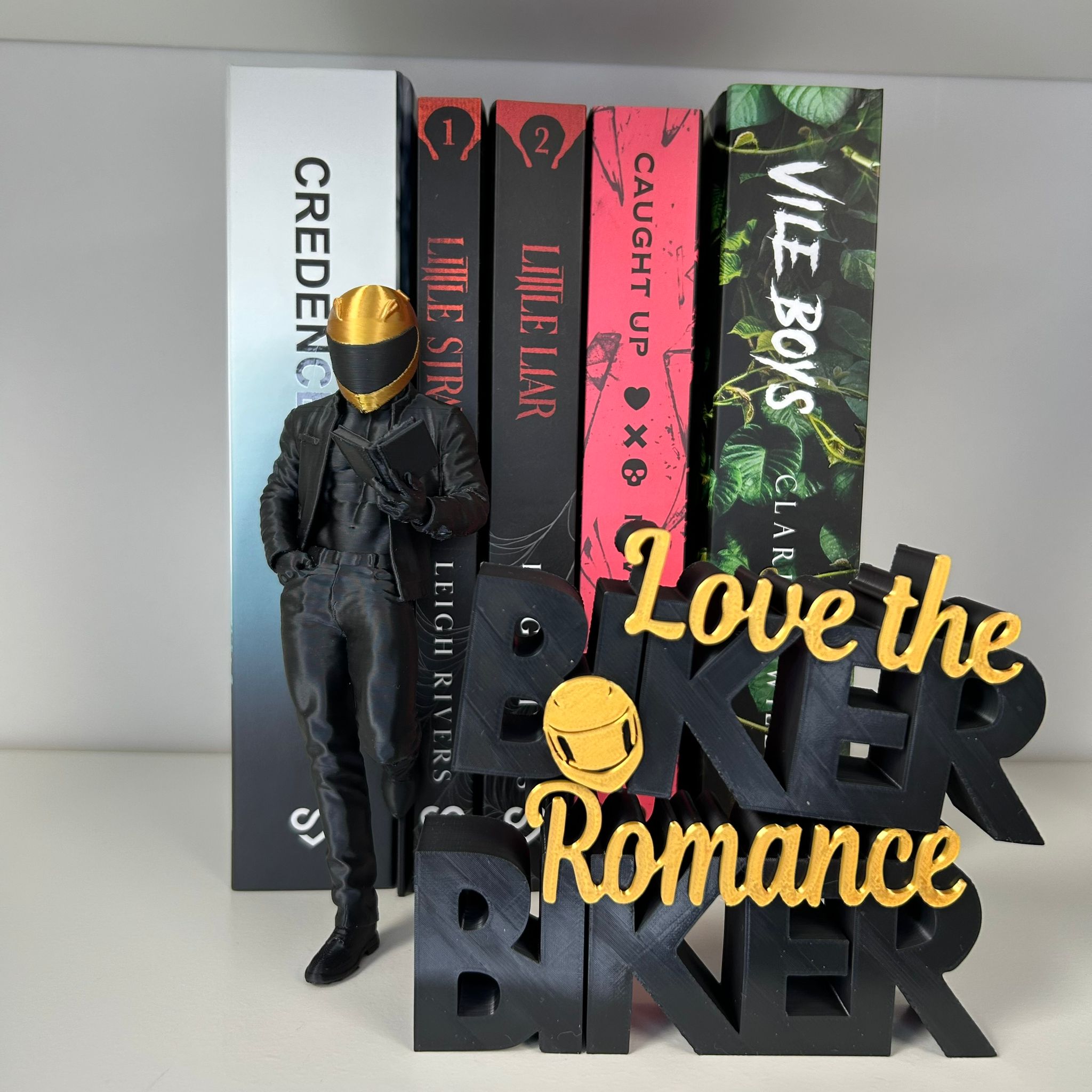 Biker Reader Bookshelf Decor – Dark Romance Biker Bookish Decor – Biker Romance Word Art