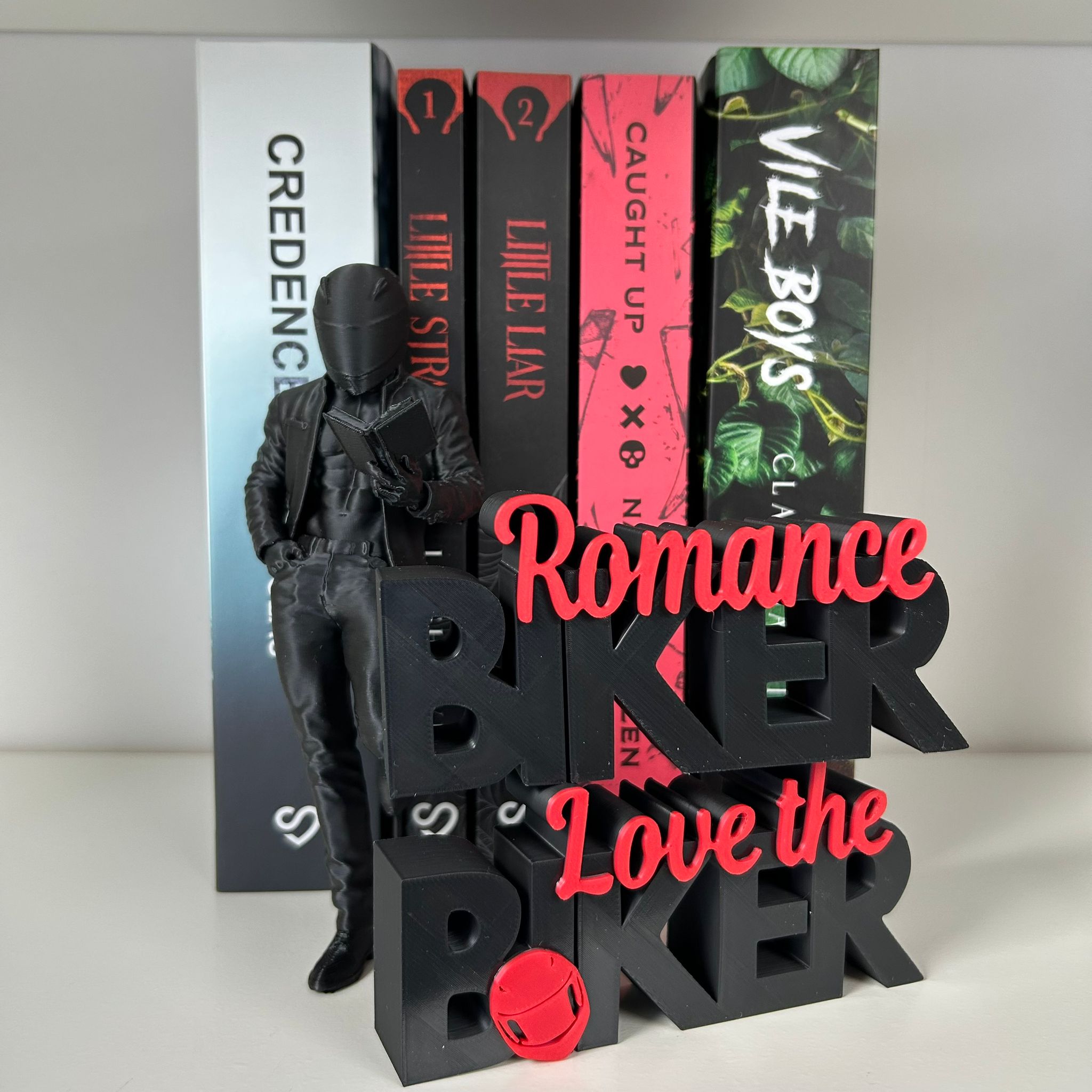 Biker Reader Bookshelf Decor – Dark Romance Biker Bookish Decor – Biker Romance Word Art